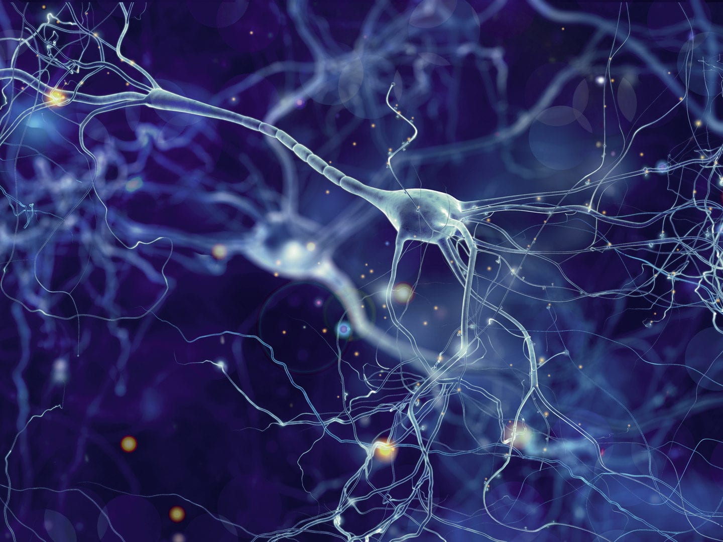 Bild mit Neuronen-Zellen