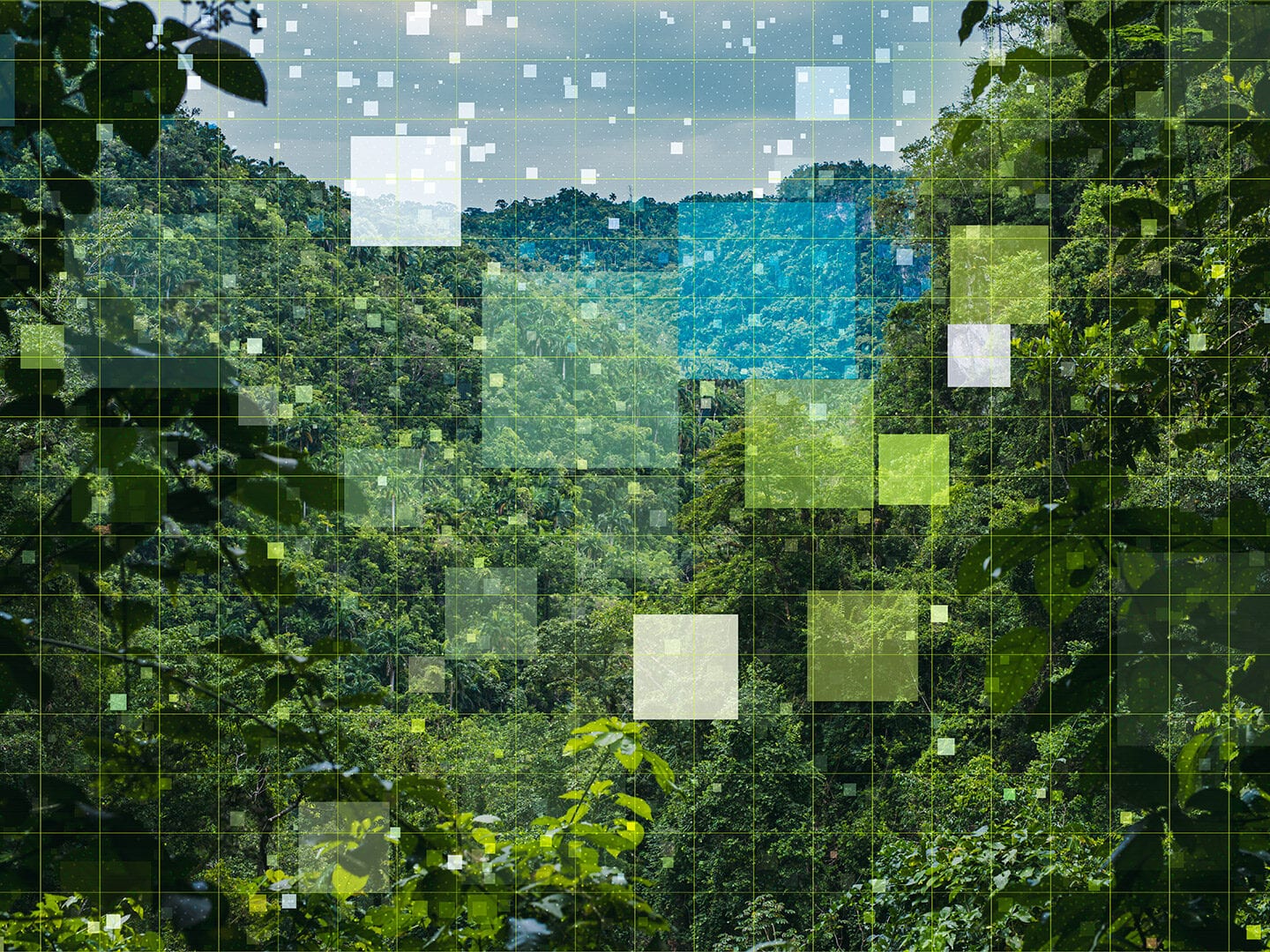 grüner Dschungel mit quadratischem Raster Overlay