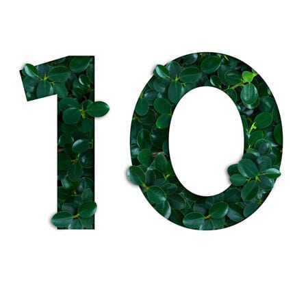 Die Zahl 10 im Stil von Pflanzen