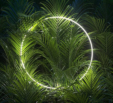Ein runder Lichtkreis aus LED beleuchtet grüne Palmenblätter im Dunkeln.