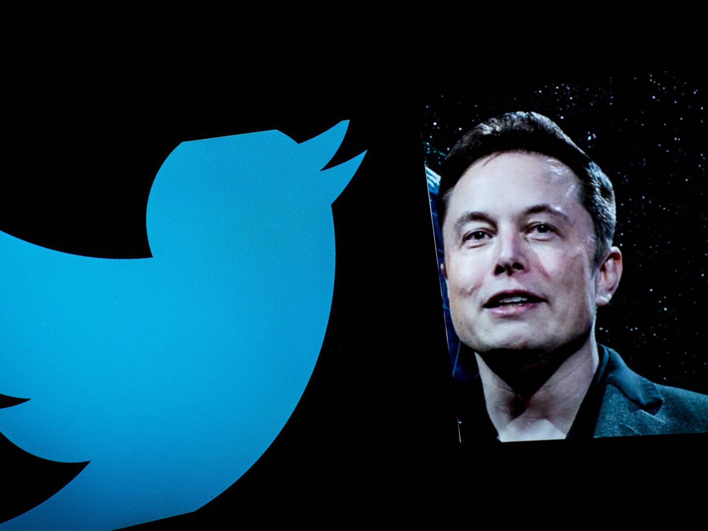 Elon Musk plant die Übernahme von Twitter