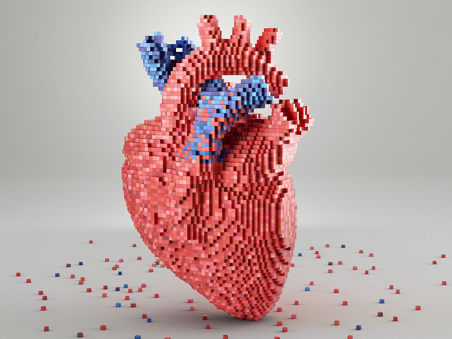 das Modell eines Herzes aus kleinen Bausteinen