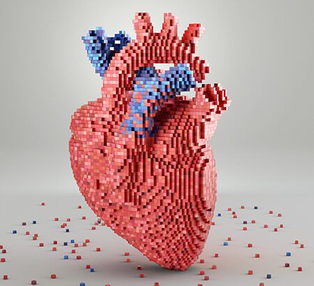 das Modell eines Herzes aus kleinen Bausteinen