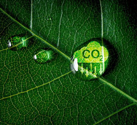 Symbolbild für Klimawandel; auf einem grünen Blatt ist eine CO2-Wolke in einem Wassertropfen zu sehen