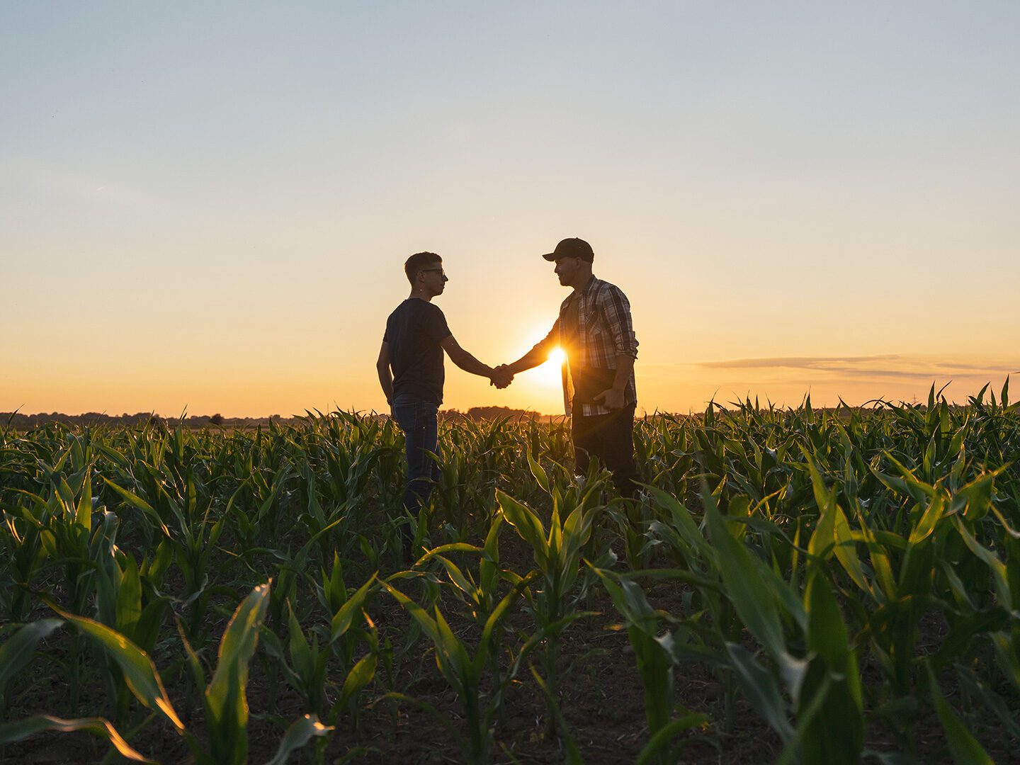 zwei Männer stehen im Sonnenuntergang auf einem Feld und geben sich die Hand